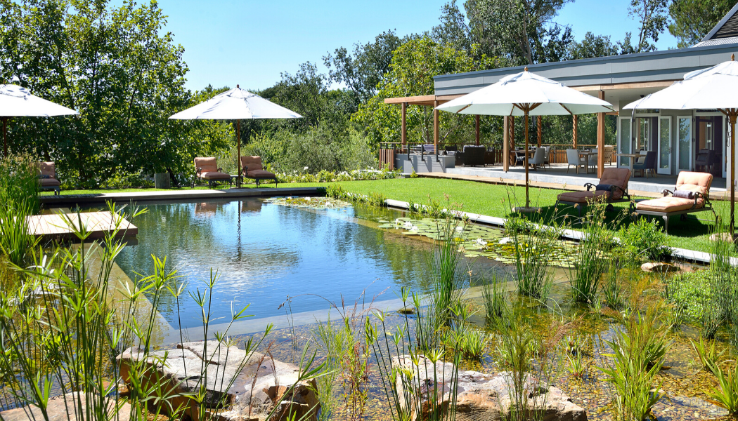Angela Boutique Hotel in the Cape Winelands