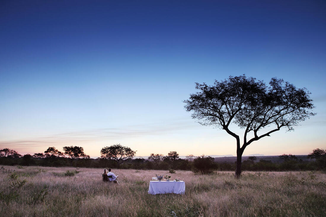 Evening drinks in the bush at Londolozi safari lodge, South Africa