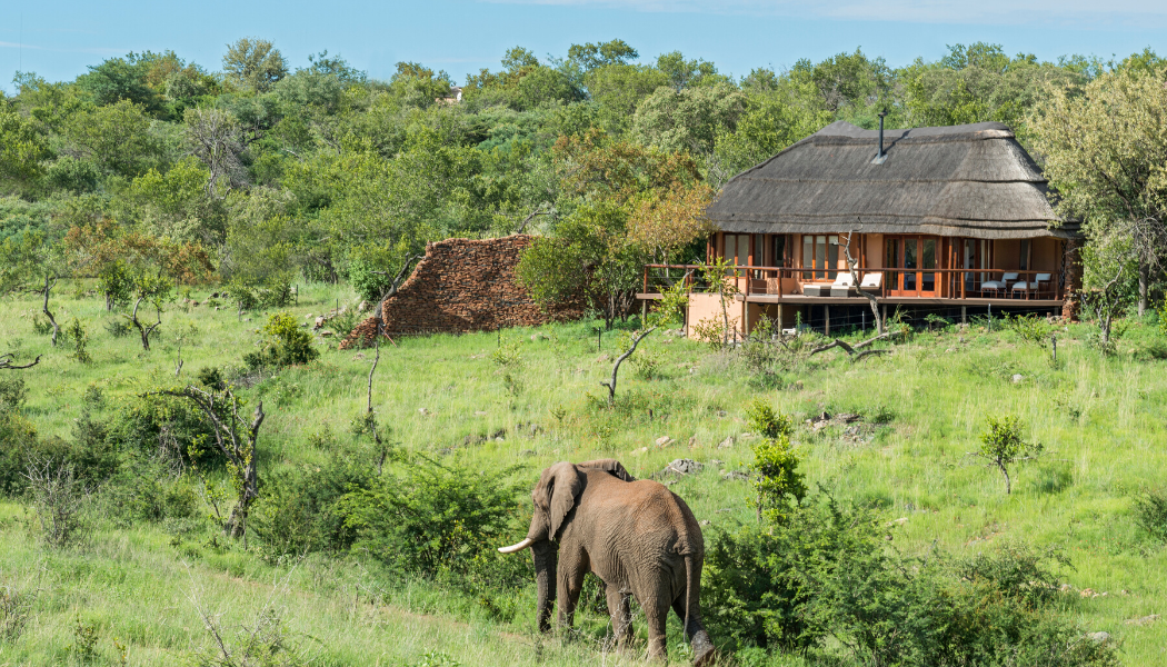 Royal Madikwe Safari Lodge